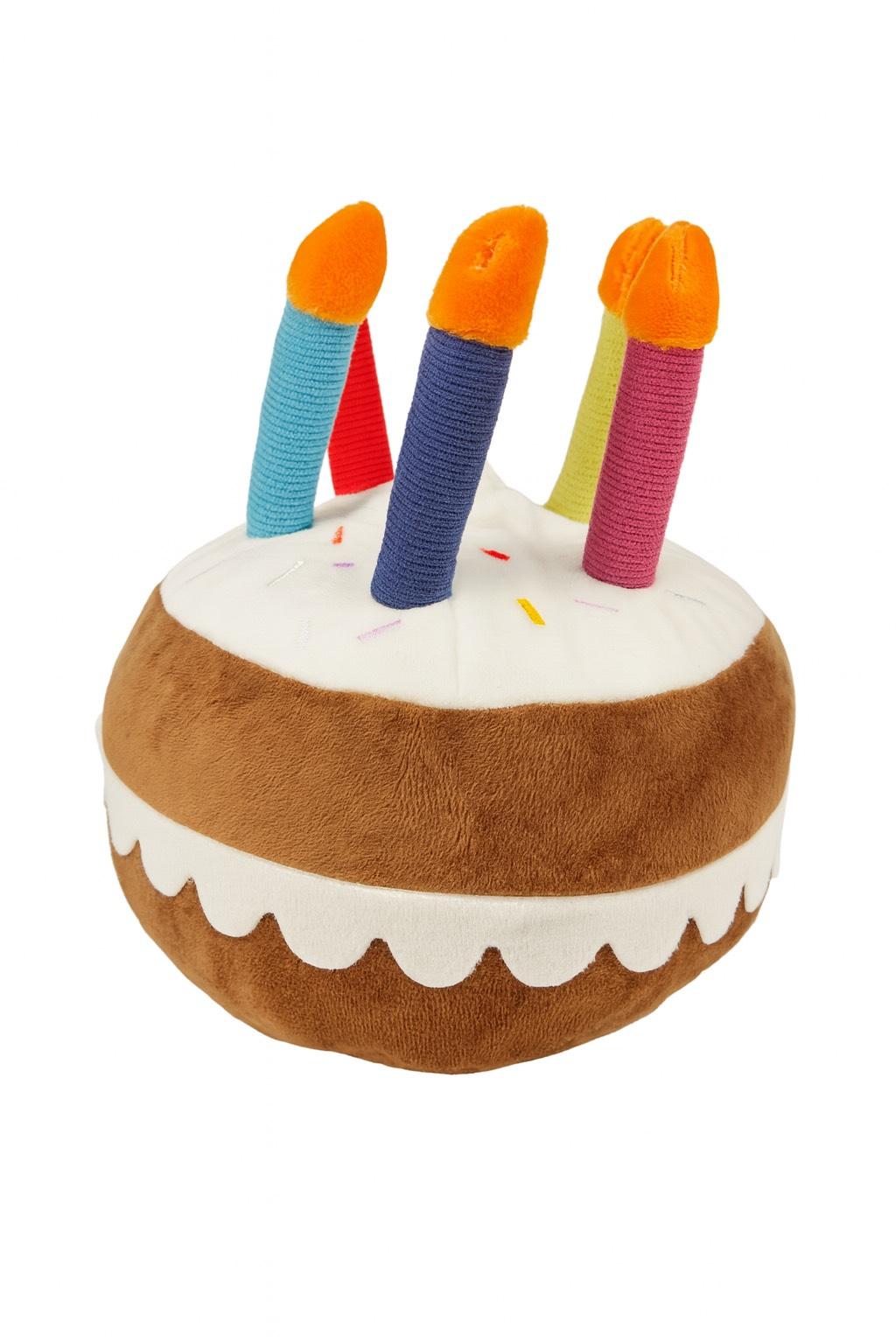 Birthday Cake "Let the Paw-ty Begin"